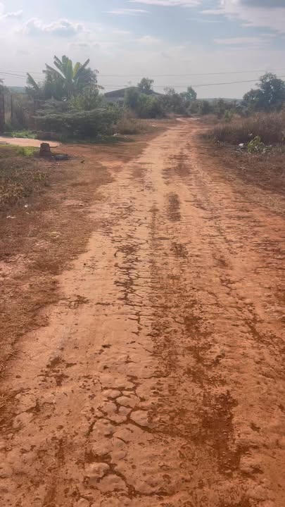 Đất nền Chư Prông, Gia Lai 125m² - Tiềm năng tăng giá!