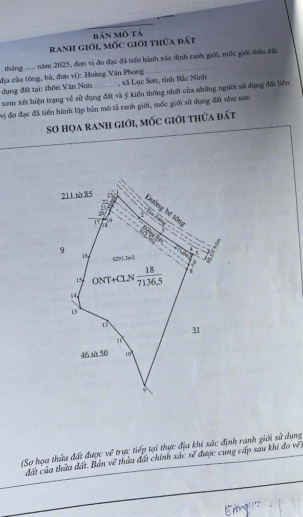 Bán Đất 7000m² Lục Sơn, Bắc Giang - Mặt Tiền 80m, Sẵn Thổ Cư, Giá Đầu Tư