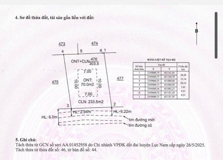 Đất nền Lục Nam 300m² giá 500 triệu - Tiềm năng tăng giá!