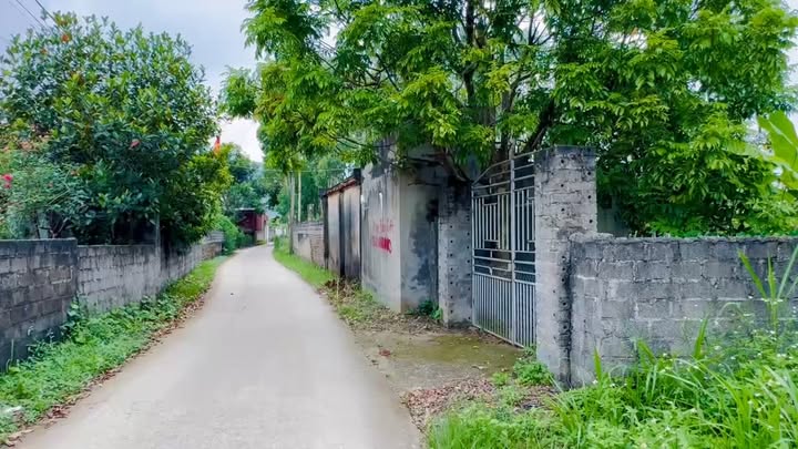 Bán Đất Lục Nam 186m² - 770 Triệu/Sổ Đỏ Chính Chủ