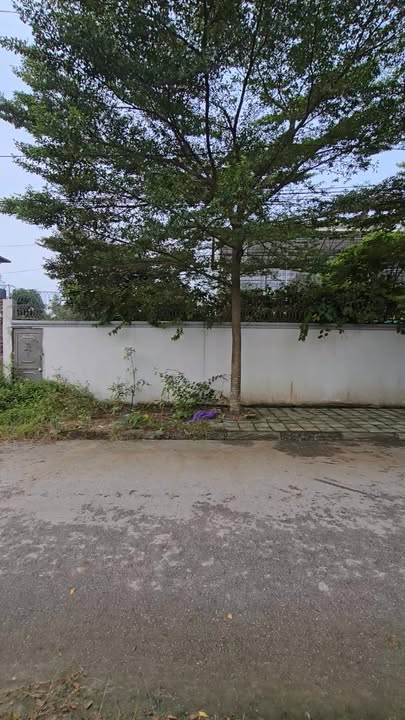 Đất nền Việt Trì Nguyễn Tất Thành 279m² - Đường to ô tô