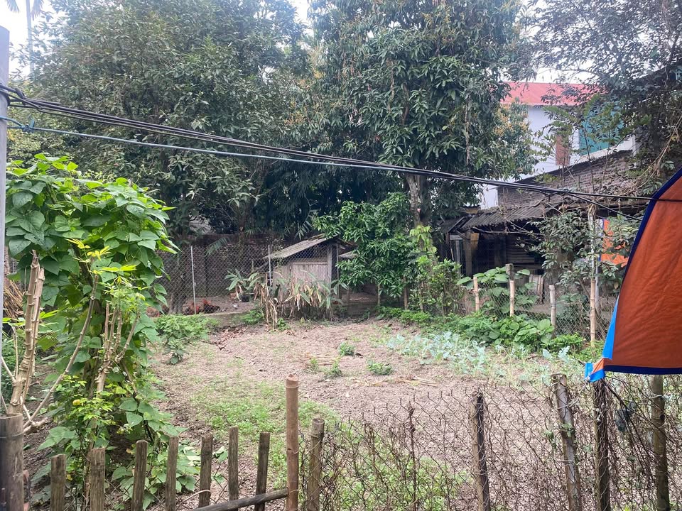 Đất nền Vĩnh Chân, Phù Thọ 550m² giá từ 1 tỷ - Sổ đỏ chính chủ!