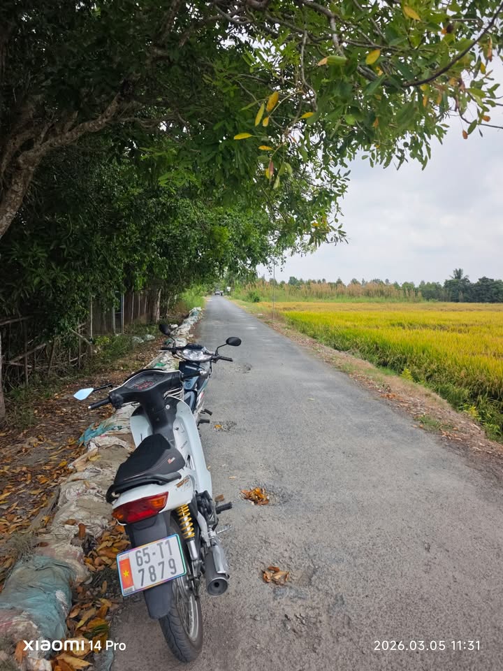 Kho/Xưởng Phước Thới, Ô Môn 10.000m² giá 8.5 tỷ - Diện tích lớn!