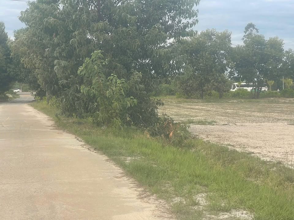 Đất nền Đà Nẵng 1300m² 1 tỷ - Tiềm năng tăng giá vượt trội!