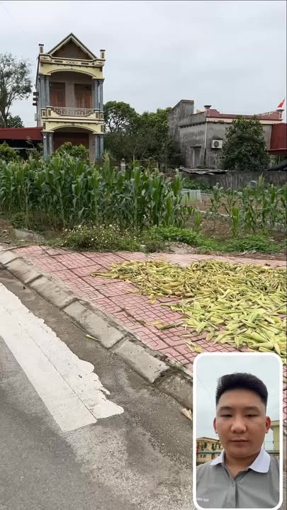 Đất Nền Quỳnh Mỹ, Thái Bình 110m² - Vị Trí Vàng, Kinh Doanh Tiềm Năng