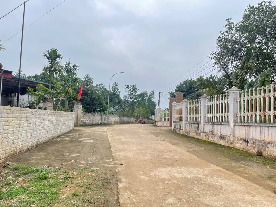 Đất Vườn Triệu Sơn - 600m² Thổ Cư, Đường 10m, Gần Sân Bóng