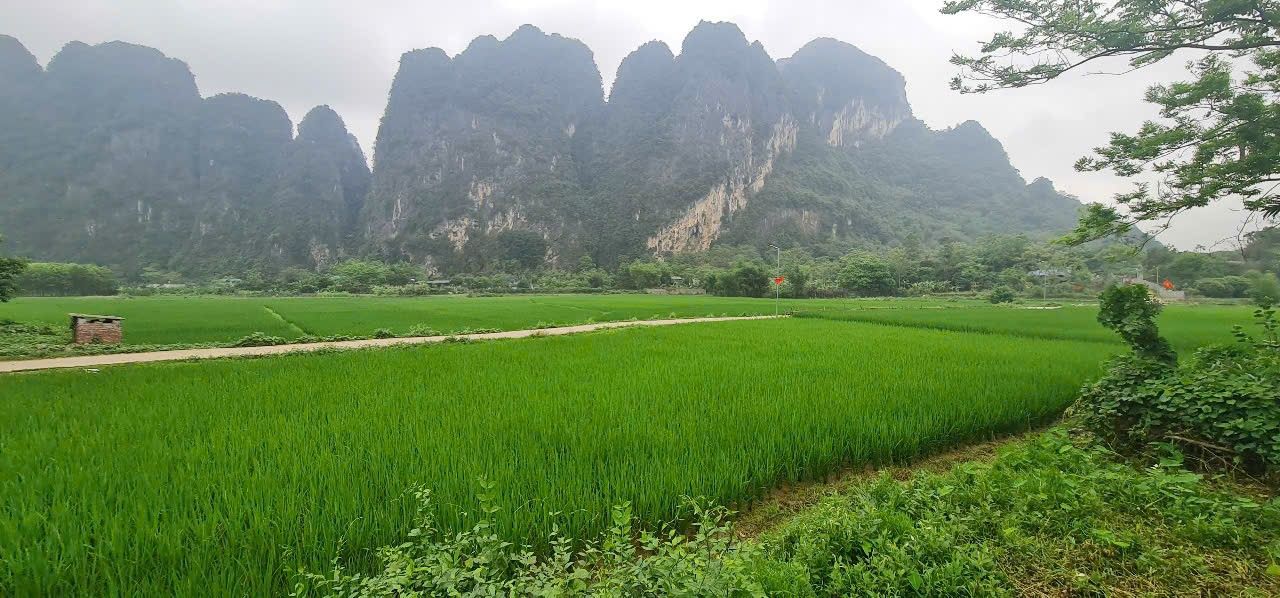 Bán Đất Lương Sơn 500m² - Sổ Đỏ Rõ Ràng, Gần Hà Nội 40km