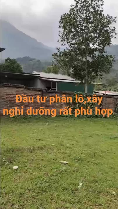 Đất nền Yên Bài Ba Vì 2338m² - Đường to ô tô, tiềm năng sinh lời!