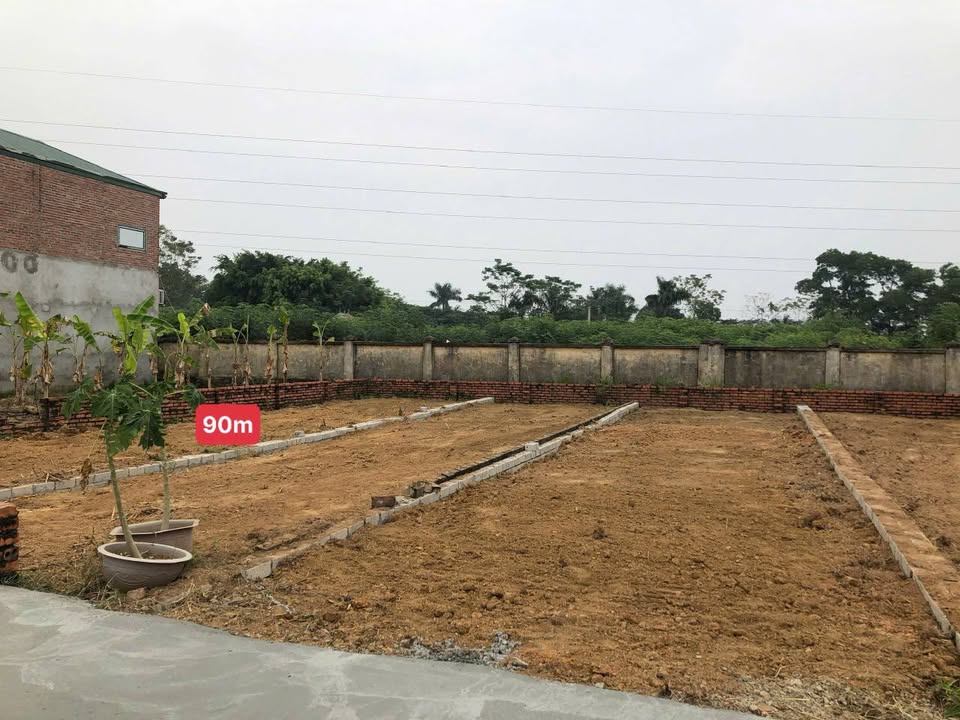 Đất nền 90m² Đồi Đốm, Hòa Lạc - Sổ đỏ sẵn sàng, đầu tư sinh lời