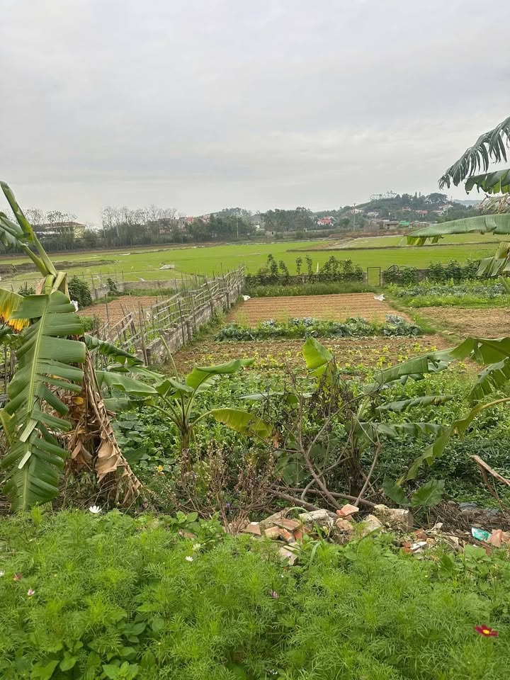 Đất nền Tân An, Bắc Giang 200m² giá 1.9 tỷ - Pháp lý rõ ràng