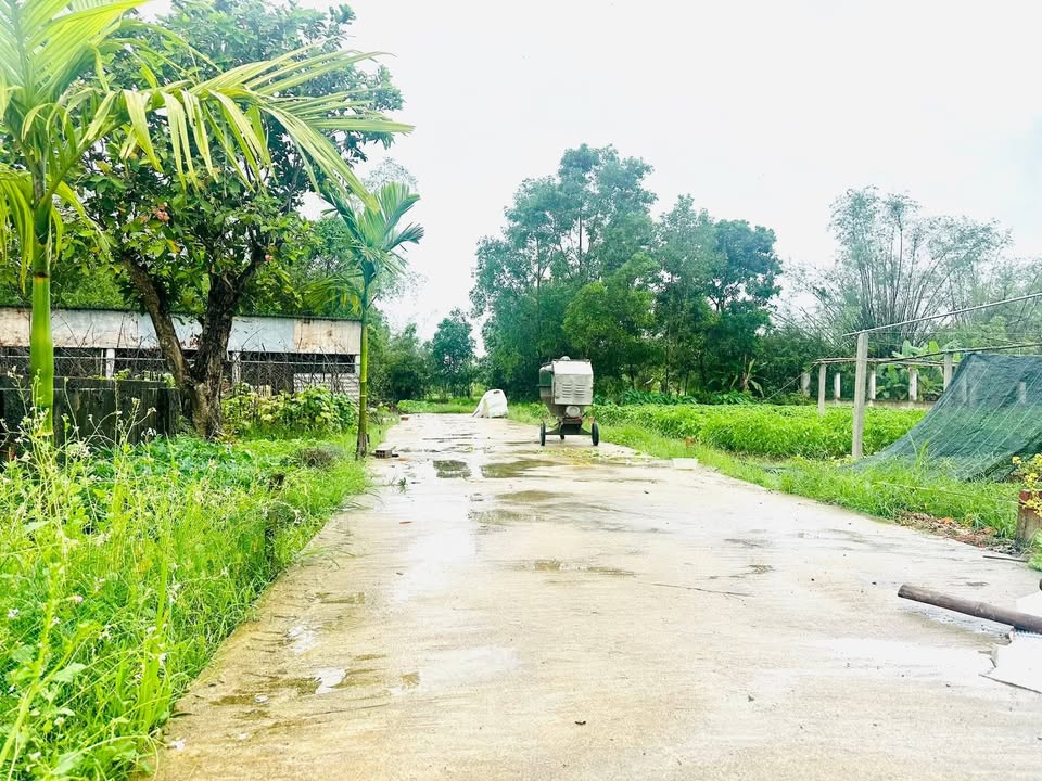 Đất Nền Quảng Thọ, TT-Huế - 110m² - Giá 360 Triệu - Ô Tô Tới Nơi