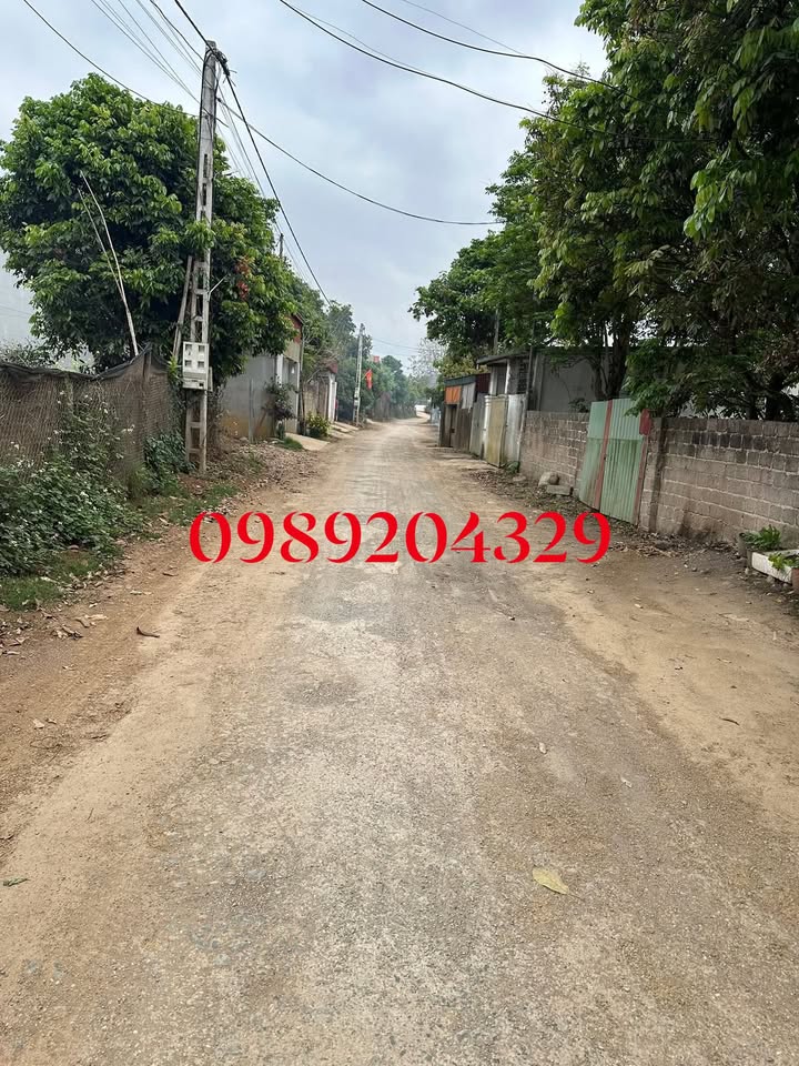 Bán Gấp Nhà 1 Tầng 150m² Quan Hoa, Cầu Giấy - Ô Tô Đỗ Cửa, Giá 2 Tỷ