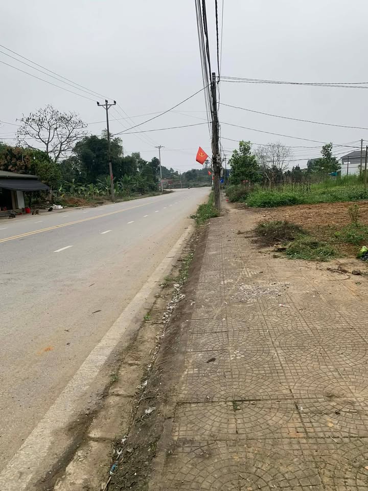 Đất nền Việt Trì 357m² giá chỉ 1.6 tỷ - Đất thổ cư 100%!