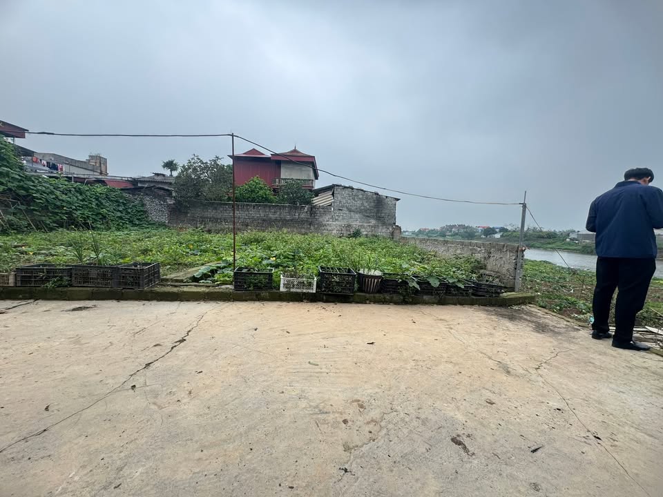 Bán Gấp Đất 80m² Sổ Đỏ Thổ Cư Mỹ Đức, Hà Nội - Giá Cắt Lỗ 900 Triệu