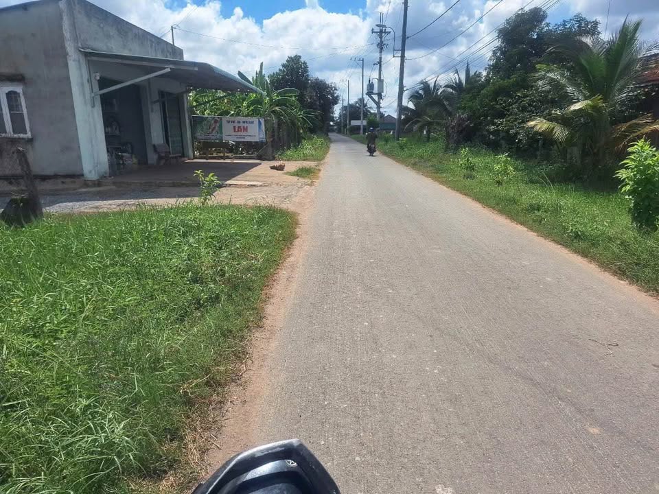 Đất Vàng Củ Chi 4500m² Mặt Tiền Đường Nhựa - Giá 11 Tỷ