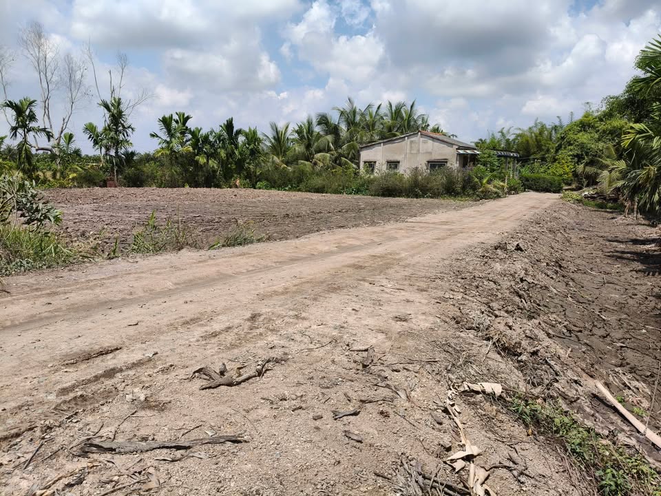 Đất nền Xã Phước Lập, Tân Phước, Tiền Giang 125m² - Đất thổ cư 100%!