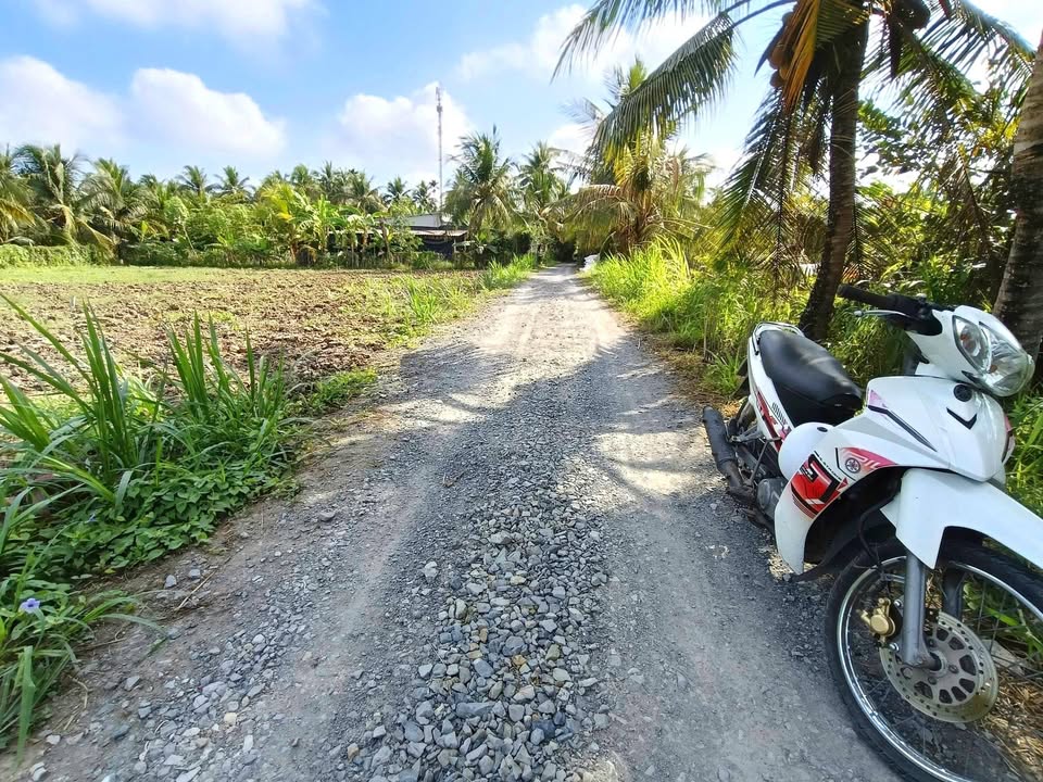 Đất nền Gò Công Tây Tiền Giang 159m² - Đất thổ cư 100%