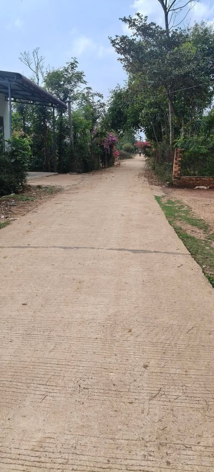 Đất nền Ea Na Cư Kuin 170m² giá 285 triệu - Sổ đỏ chính chủ!