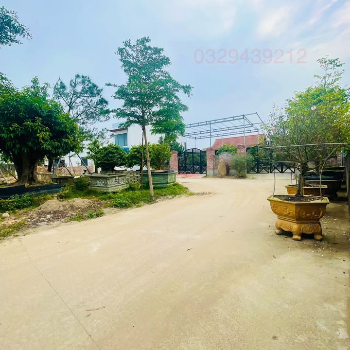 Đất nền 81m² Tôn Thất Sơn, Thủy Phương - Sổ đỏ chính chủ!