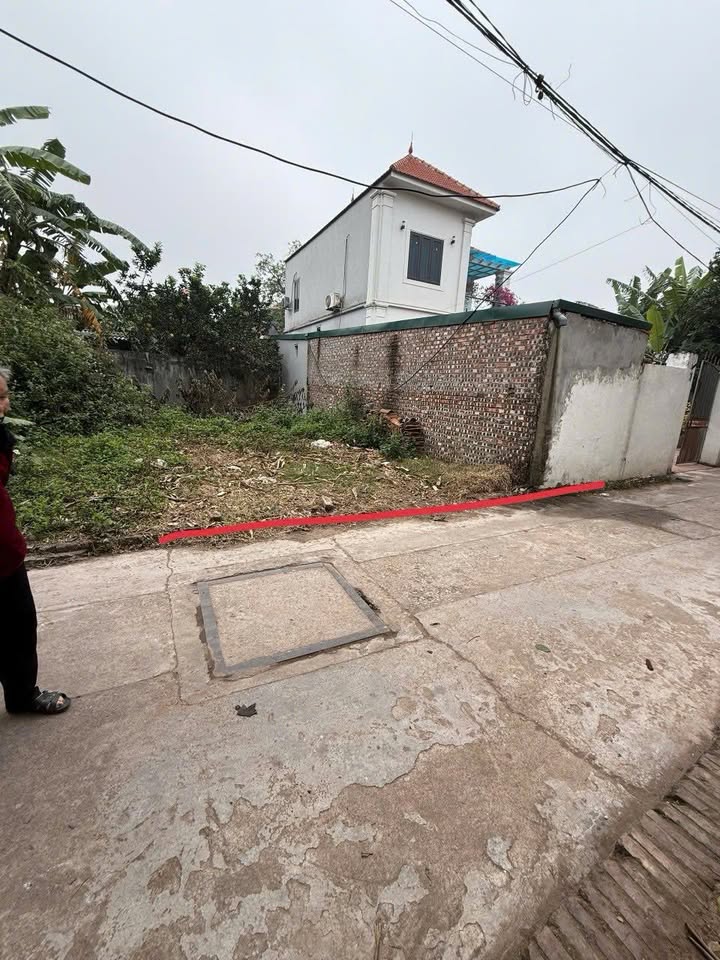 Đất nền Tô Khê, Gia Lâm 50.3m² - Sổ đỏ chính chủ, ô tô tận nơi!