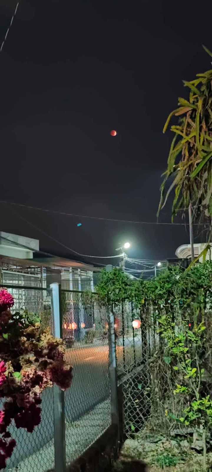 Đất Thổ Cư Cho Thuê Liên Nghĩa 40m² - Đường To Ô Tô, Kinh Doanh Ngay!