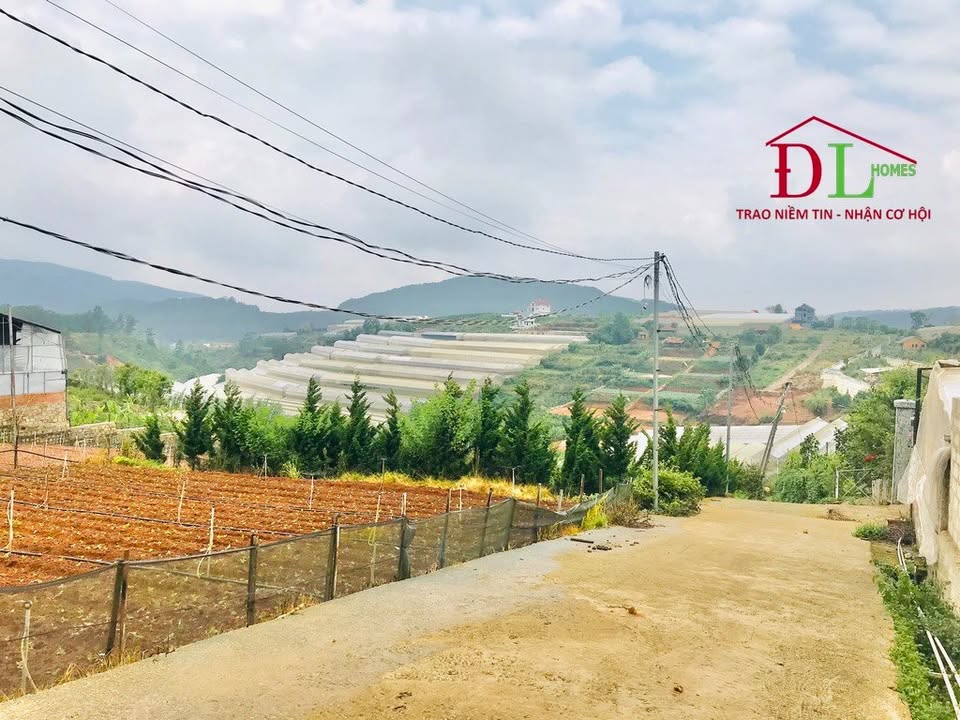 Farm Măng Lin Đông Hà 5977m² 20 tỷ - Sổ đỏ chính chủ