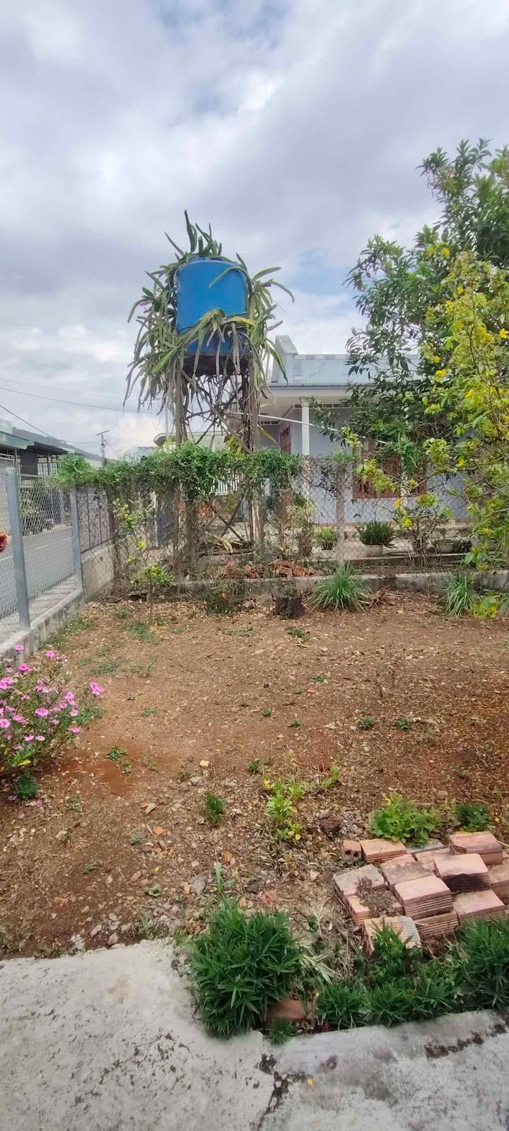 Đất nền Liên Nghĩa 440 triệu/5 năm - Vị trí vàng, tặng nhà Đà Lạt!