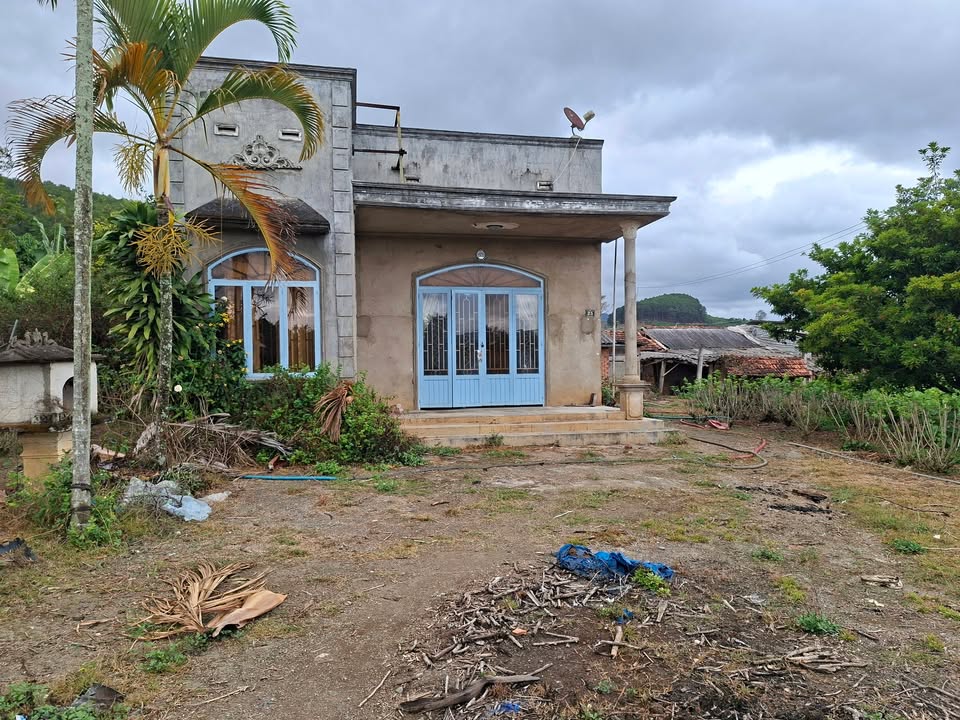 Đất vườn Nam Ban 2500m² – Nghỉ dưỡng lý tưởng, sổ hồng sẵn!