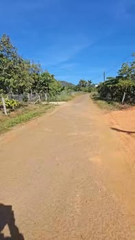 Đất nền Lộc Đức 390m² - Sổ đỏ chính chủ!