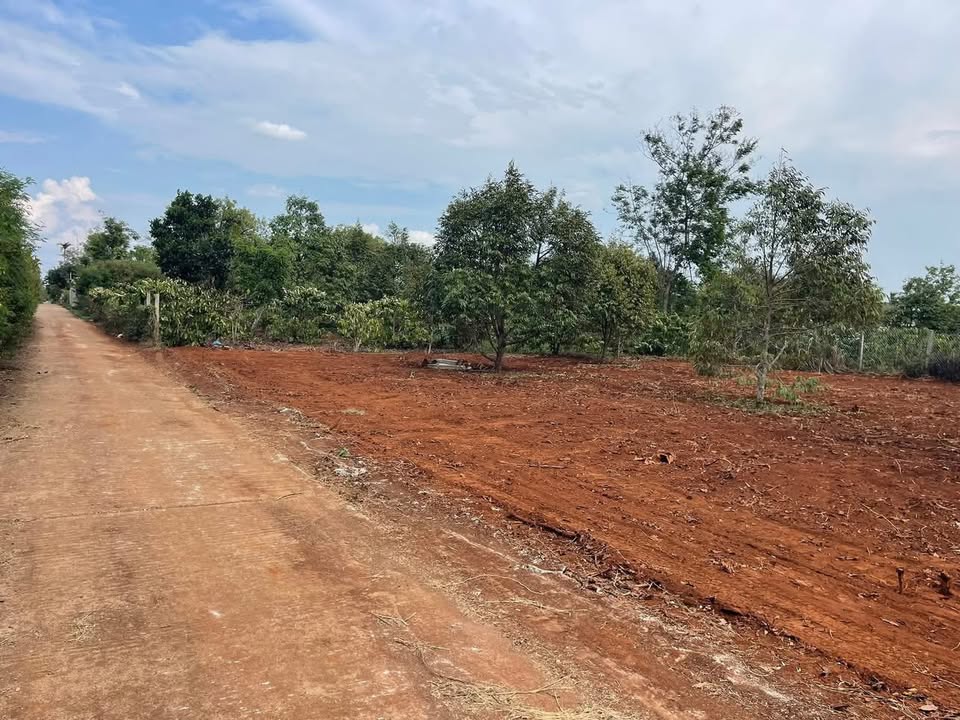 Đất nền Tân An, Buôn Ma Thuột 115m² - Sổ đỏ chính chủ 990 triệu!