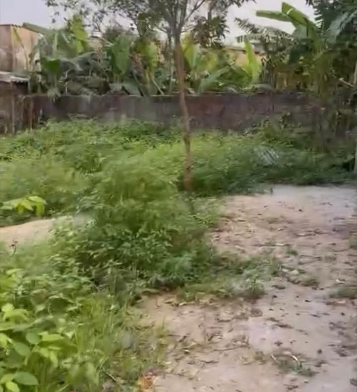 Đất nền Ngõ 806 Vũ Hữu Lợi 210m² - Sổ đỏ chính chủ, đường to ô tô!