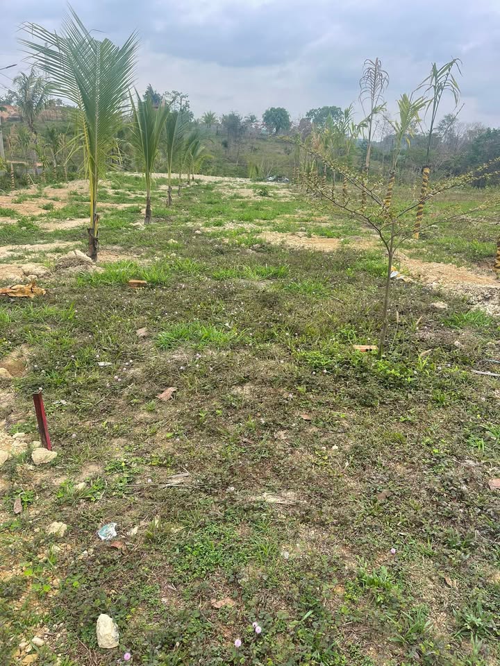 Đất nền 640m² sổ đỏ tại Cư Jút, Đắk Nông - Giá 3xx triệu