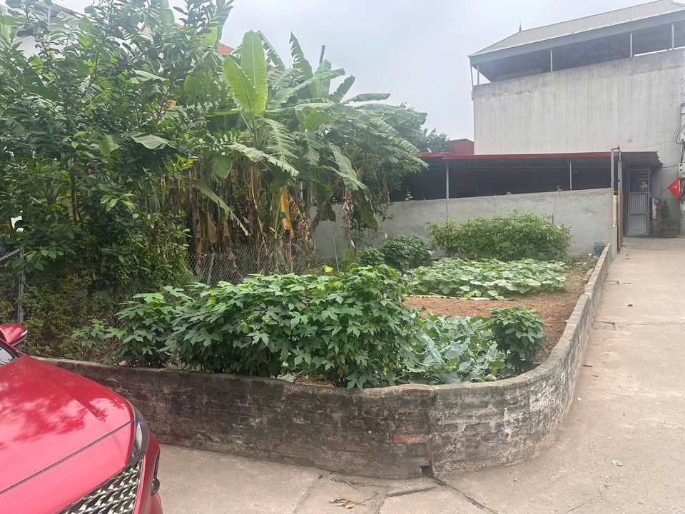 Bán Đất Thọ An Đan Phượng 60m² - Ô Tô Tận Đất, Giá Tốt