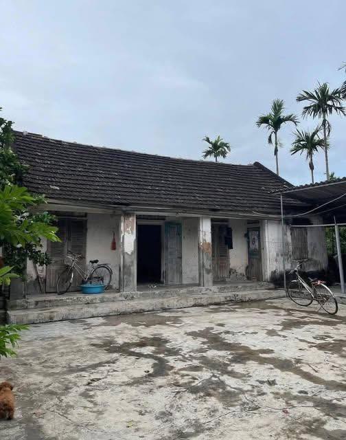 Đất nền An Thành, Thanh Hà 295m² - Đường to ô tô tận đất!