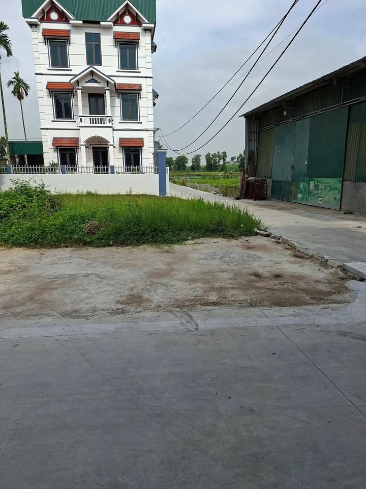 Đất nền Tái Sơn Tứ Kỳ 120m² - Sổ đỏ chính chủ, ô tô tránh nhau!