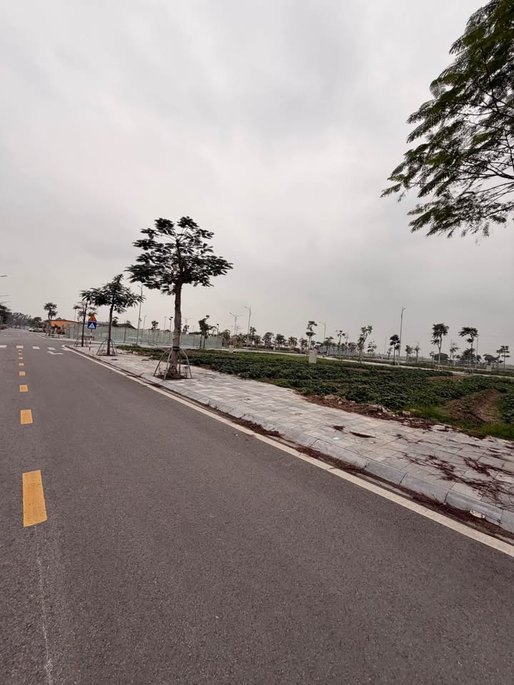 Đất nền Thanh Sơn, Kiến Thụy 80m² - Sổ hồng chính chủ, Giá chỉ 2 tỷ!