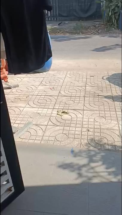 Đất Sổ Riêng 125m² Mặt Tiền Nhựa Củ Chi - Giá 2.5 Tỷ