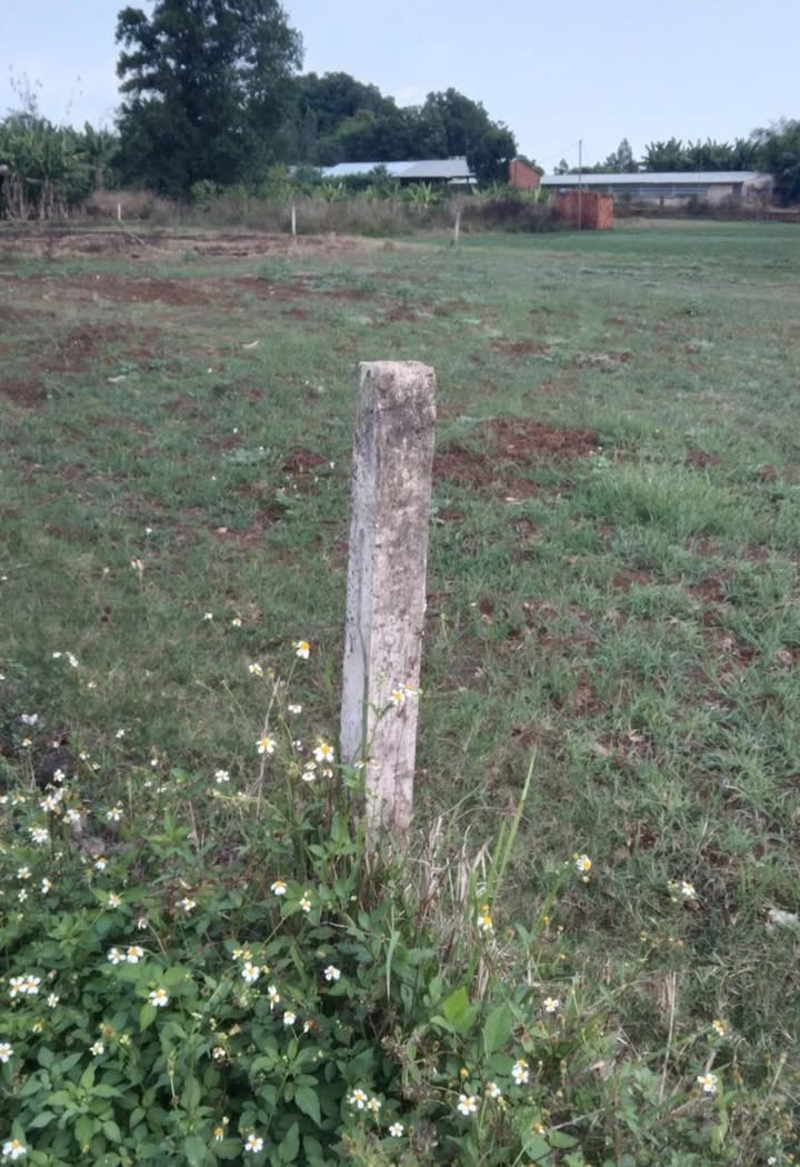 Đất Nền Sổ Hồng Thống Nhất 360m² - Kế Song Hành Gia Tân 2