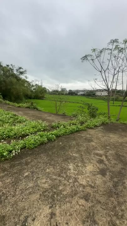 Đất nền Kỳ Anh, Hà Tĩnh 320m² - Tiềm năng tăng giá