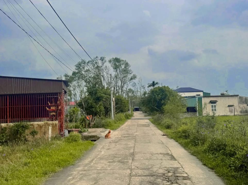 Đất nền Kỳ Trinh, Kỳ Anh 225m² - Tiềm năng tăng giá vượt trội!