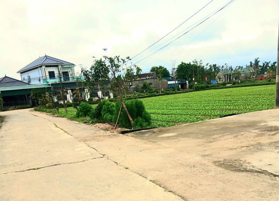 Bán Đất Thổ Cư 189m² Thôn Hồng Dinh, TP Hà Tĩnh - Sổ Đỏ Rõ Ràng