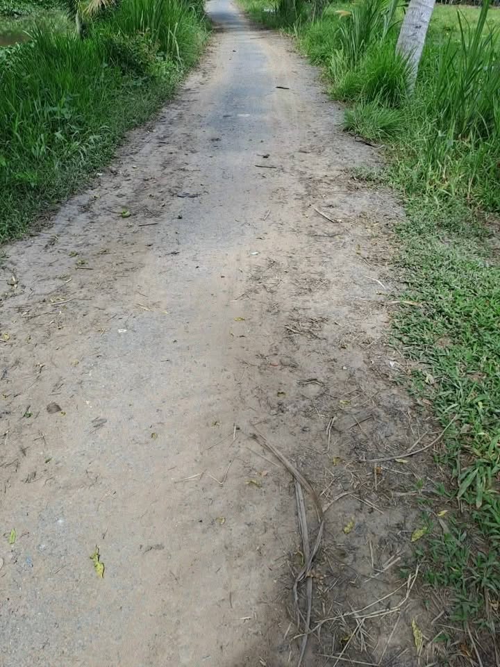 Đất Ấp Hòa Lạc Trà Vinh 1.312m² 682tr - Đường to ô tô