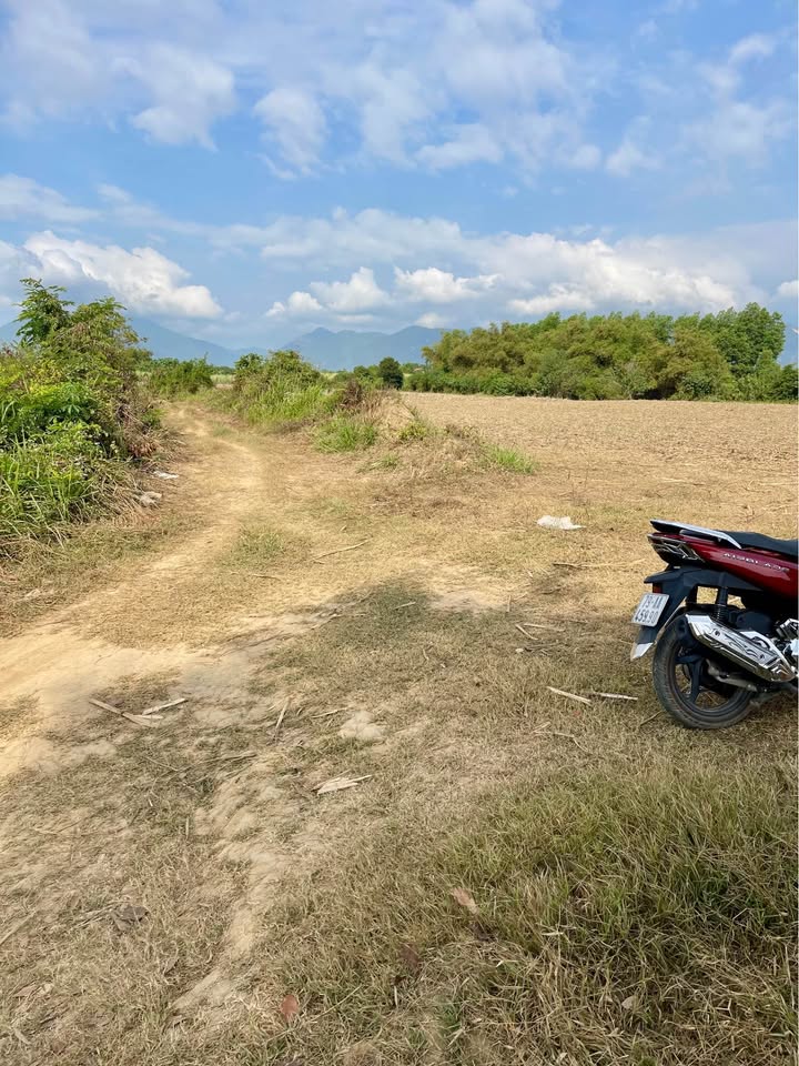 Bán Gấp Đất Farm Nghỉ Dưỡng 3.5ha Mặt Đường Ninh Sim, Ninh Hòa