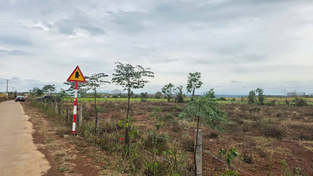 Đất Vườn H. Chư Sê, Gia Lai 3ha - Đầu tư dài hạn sinh lời!