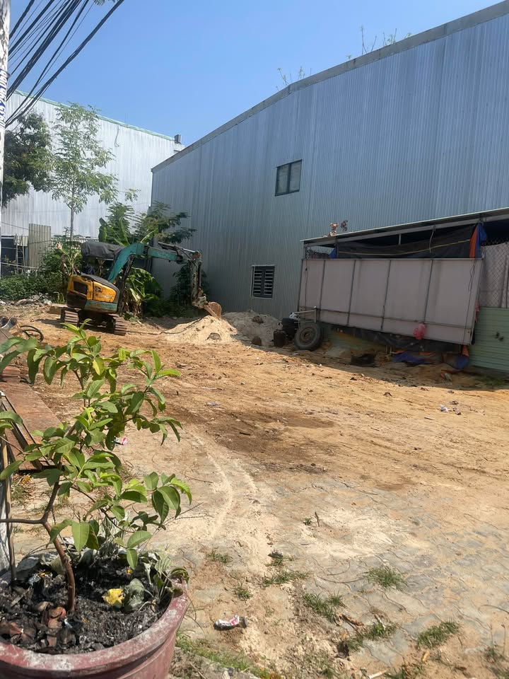 Đất Mặt Tiền Trường Chinh, Cẩm Lệ 100m² - Sổ Đỏ Sẵn Sàng, Ô Tô Thoải Mái