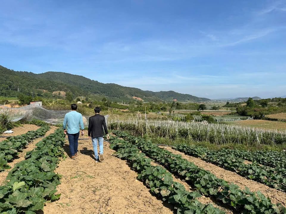 Đất Sào Đạ Ròn, Đơn Dương 2966m² - Sổ đỏ chính chủ, công chứng ngay!