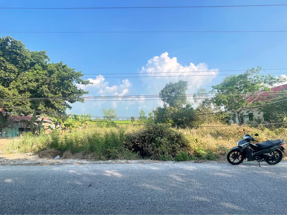 Bán đất thổ cư 300m² mặt tiền lộ nhựa, Hòn Đất, Kiên Giang - Sẵn sổ đỏ