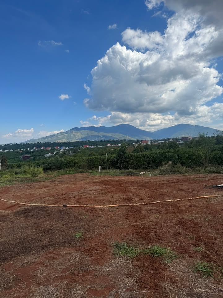 Đất Nền Di Linh 240m² Sổ Hồng Riêng - Giá Đầu Tư 480 Triệu