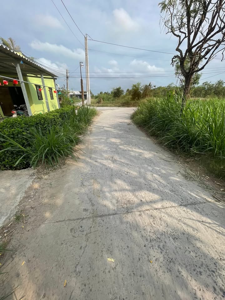 Bán Đất Nền 174.6m² Full Thổ Cư, Xã Tân Hòa, Đồng Tháp - 420 Triệu