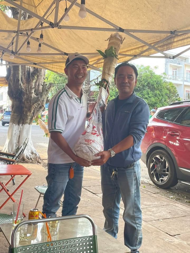 Đất nền Phan Đình Phùng Đak Đoa 350m² - Đầu tư sinh lời 2.1 tỷ!